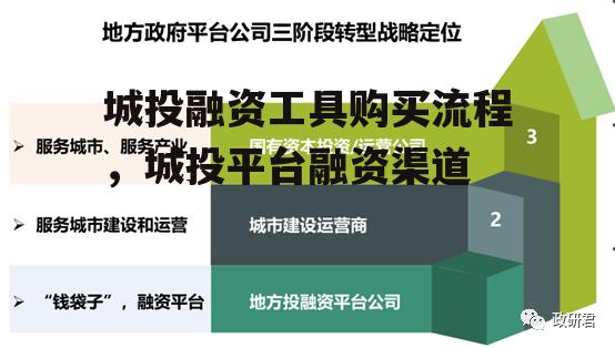 城投融资工具购买流程，城投平台融资渠道