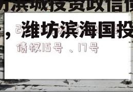 潍坊滨城投资政信债权1号，潍坊滨海国投债权