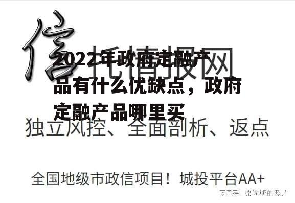 2022年政府定融产品有什么优缺点，政府定融产品哪里买