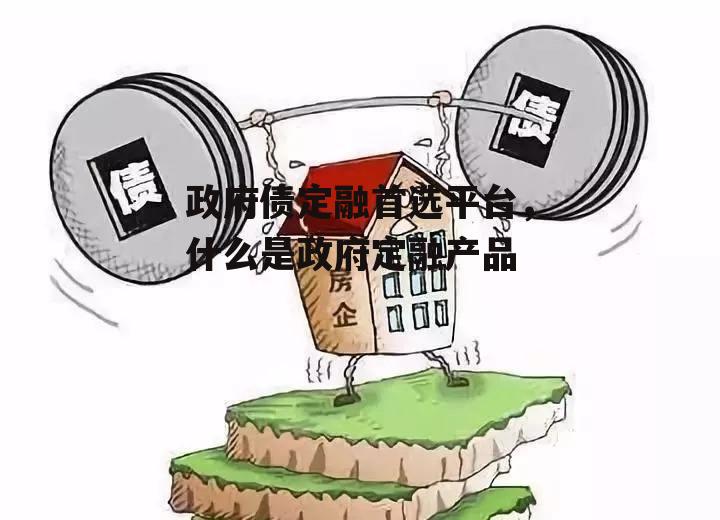 政府债定融首选平台，什么是政府定融产品