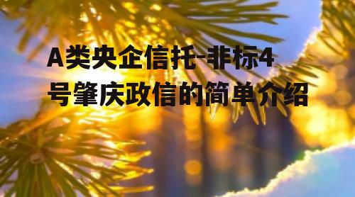 A类央企信托-非标4号肇庆政信的简单介绍