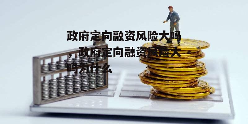 政府定向融资风险大吗，政府定向融资风险大吗为什么