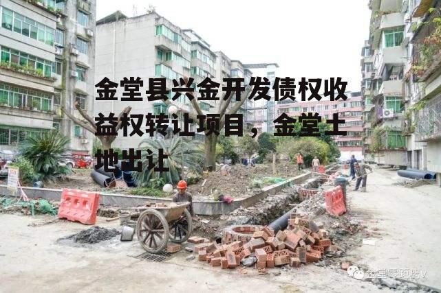 金堂县兴金开发债权收益权转让项目，金堂土地出让