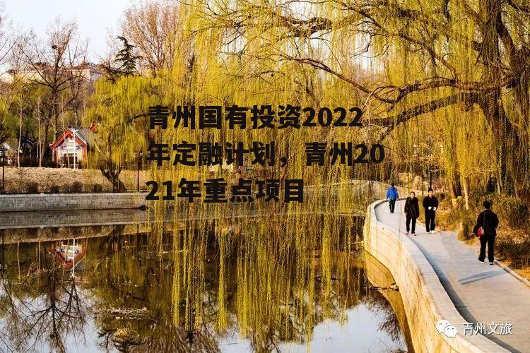 青州国有投资2022年定融计划，青州2021年重点项目