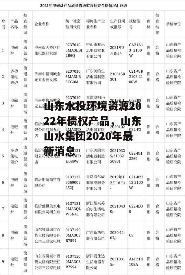 山东水投环境资源2022年债权产品，山东山水集团2020年最新消息