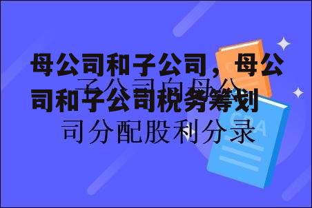 母公司和子公司，母公司和子公司税务筹划