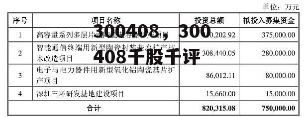 300408，300408千股千评