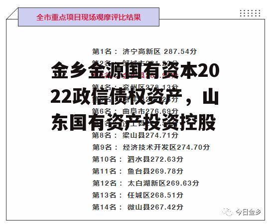 金乡金源国有资本2022政信债权资产，山东国有资产投资控股