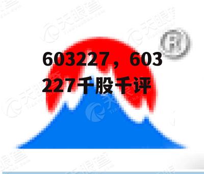 603227，603227千股千评