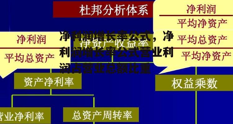 净利润增长率公式，净利润增长率公式营业利润占营业总额比重