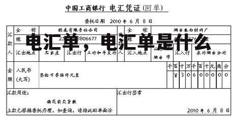 电汇单，电汇单是什么