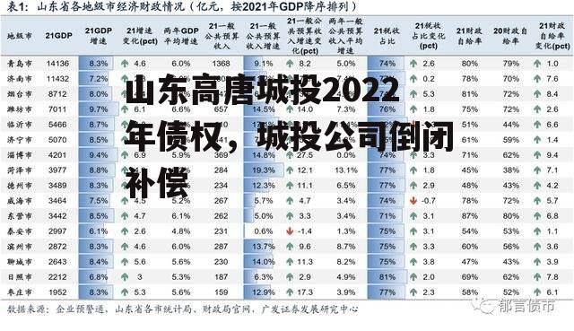 山东高唐城投2022年债权，城投公司倒闭补偿