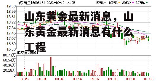 山东黄金最新消息，山东黄金最新消息有什么工程