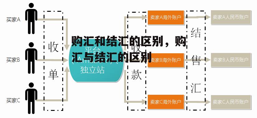 购汇和结汇的区别，购汇与结汇的区别