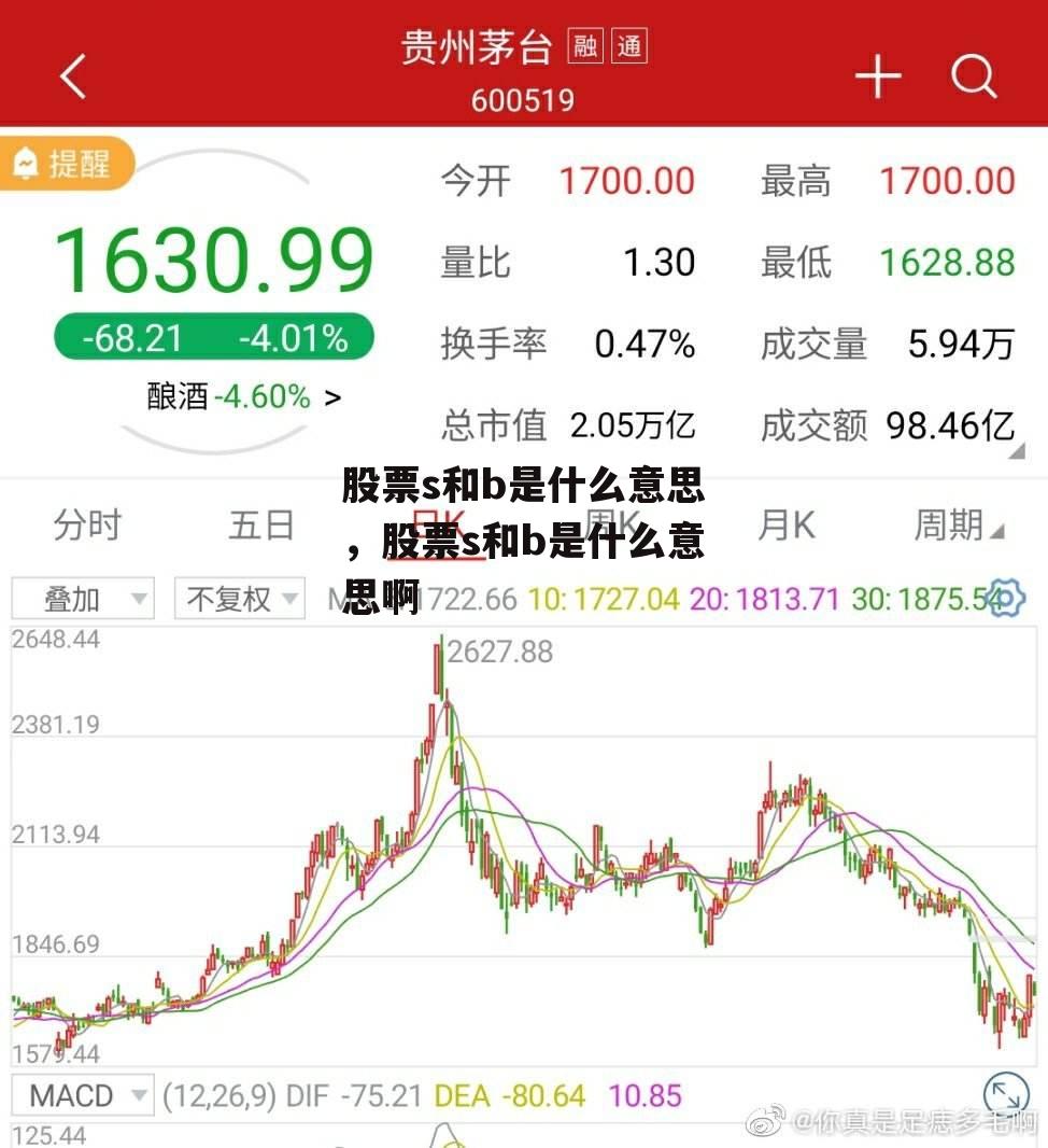 股票s和b是什么意思，股票s和b是什么意思啊