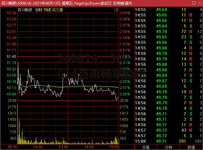 300614，300614百川畅银股吧