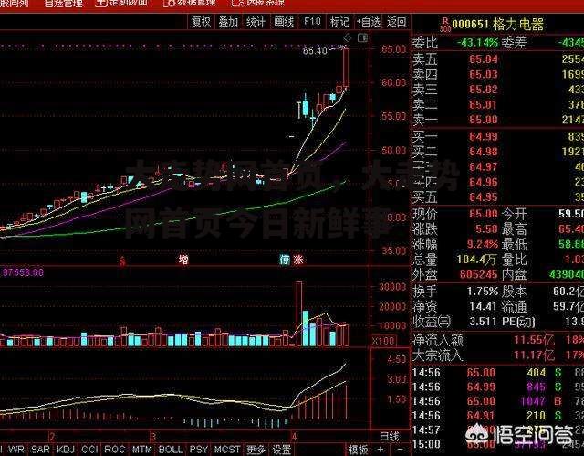 大走势网首页，大走势网首页今日新鲜事