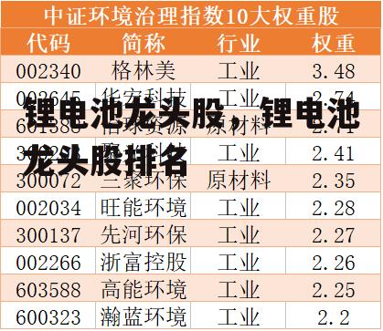 锂电池龙头股，锂电池龙头股排名