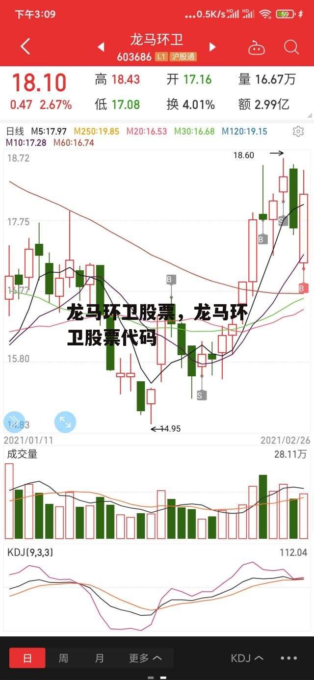 龙马环卫股票，龙马环卫股票代码