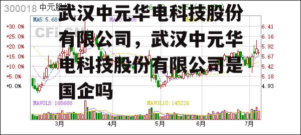 武汉中元华电科技股份有限公司，武汉中元华电科技股份有限公司是国企吗