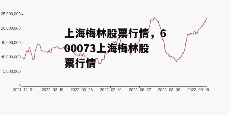 上海梅林股票行情，600073上海梅林股票行情