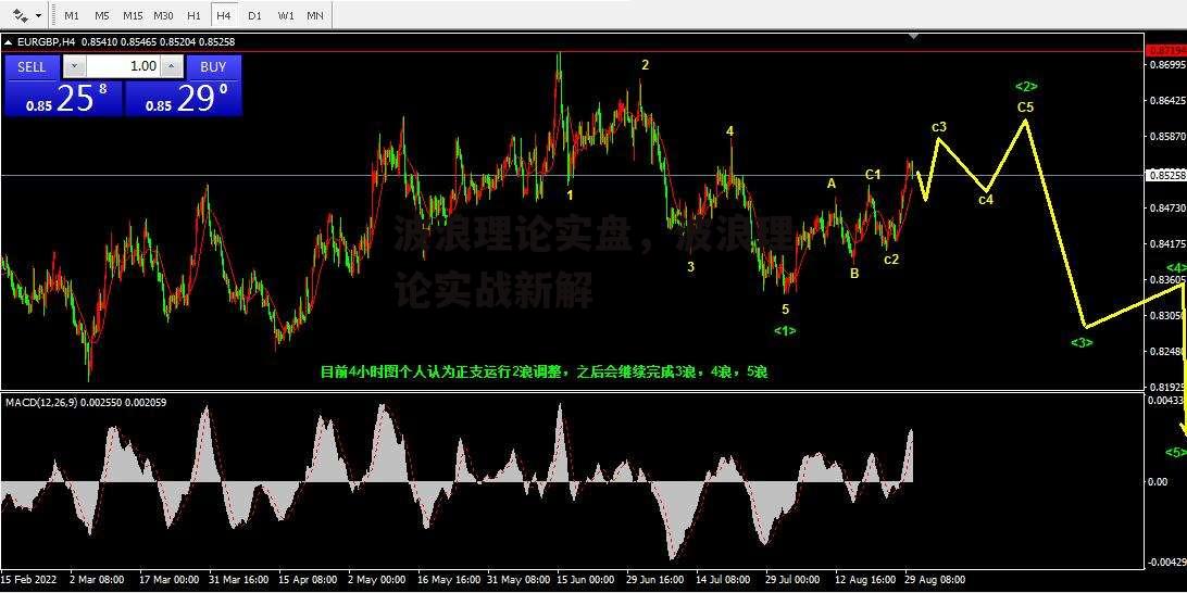 波浪理论实盘，波浪理论实战新解