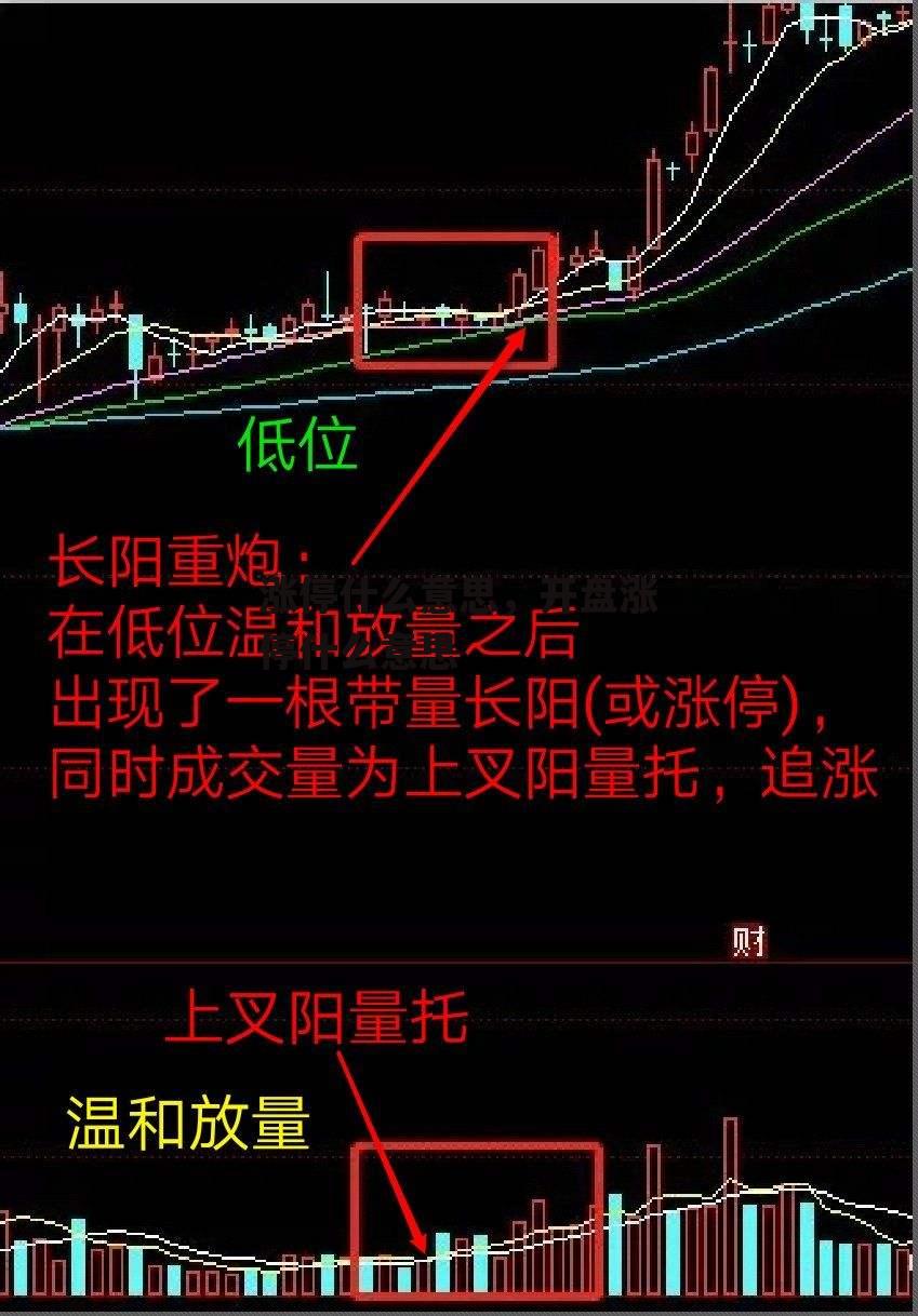 涨停什么意思，开盘涨停什么意思