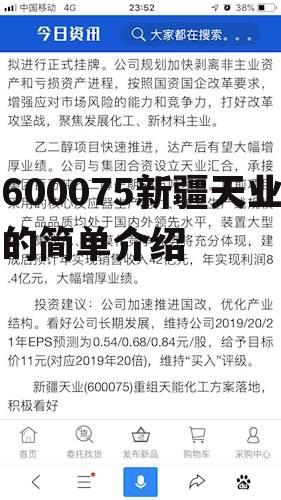 600075新疆天业的简单介绍