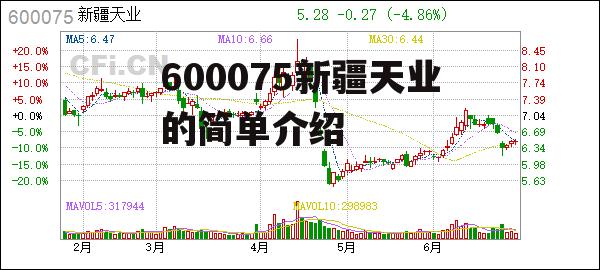 600075新疆天业的简单介绍