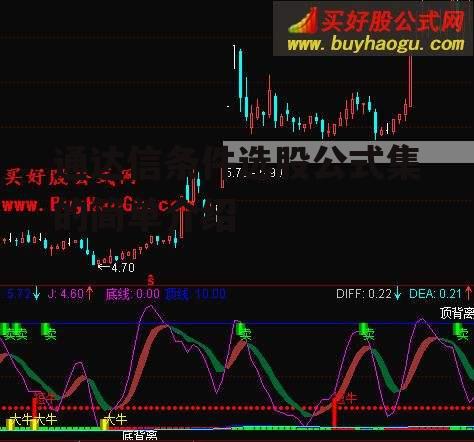 通达信条件选股公式集的简单介绍