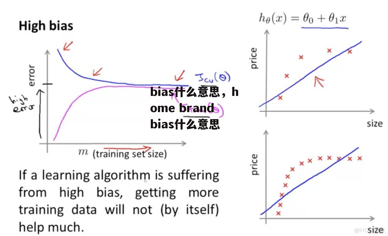bias什么意思，home brand bias什么意思