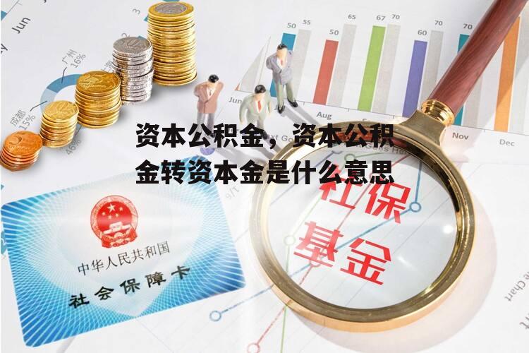 资本公积金，资本公积金转资本金是什么意思