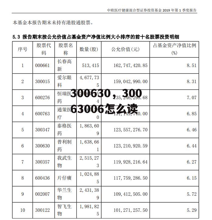 300630，30063006怎么读