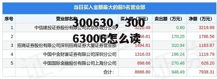 300630，30063006怎么读