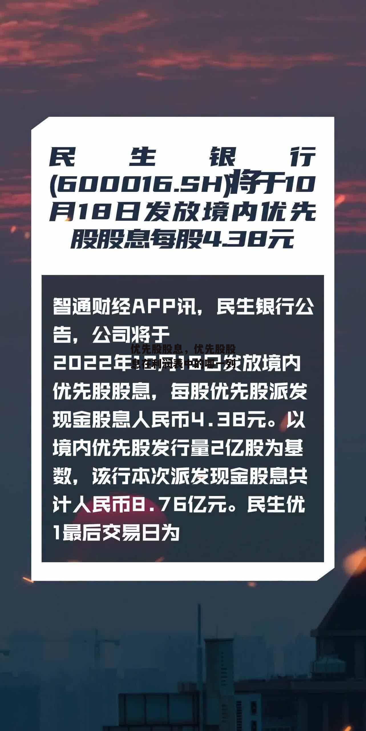 优先股股息，优先股股息在利润表中的哪一列