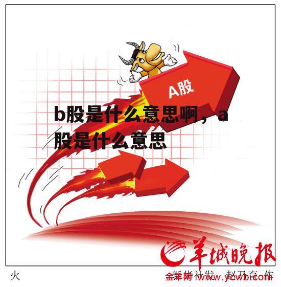 b股是什么意思啊，a股是什么意思