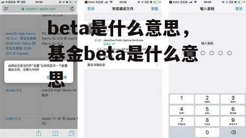 beta是什么意思，基金beta是什么意思