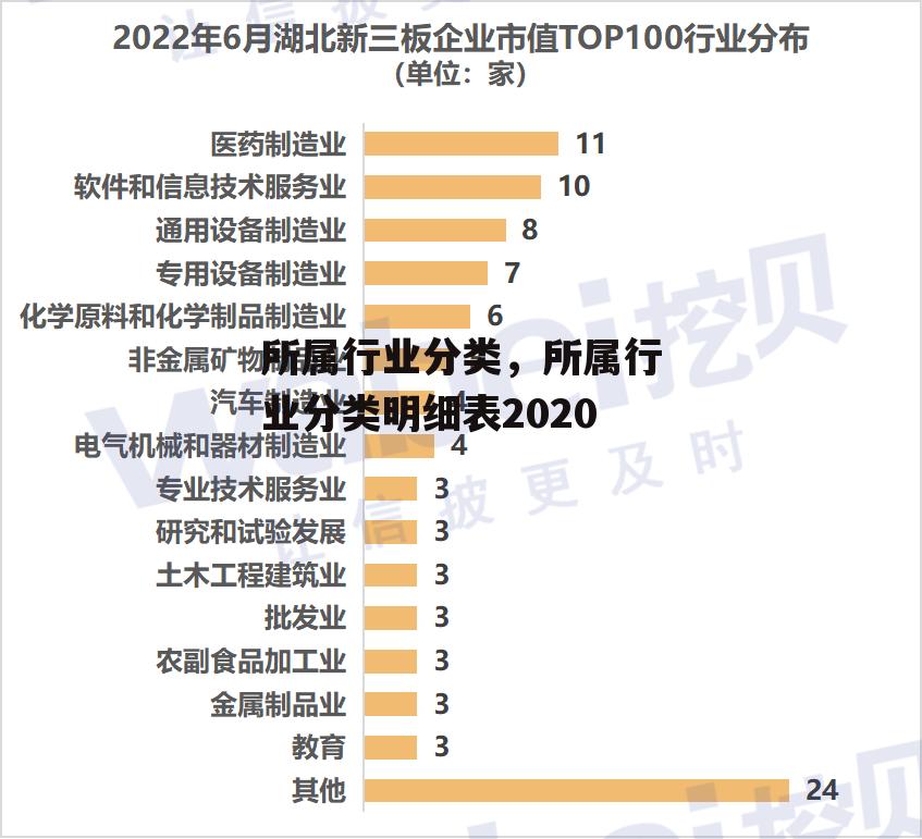 所属行业分类，所属行业分类明细表2020