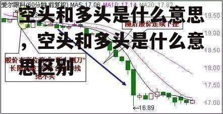 空头和多头是什么意思，空头和多头是什么意思区别