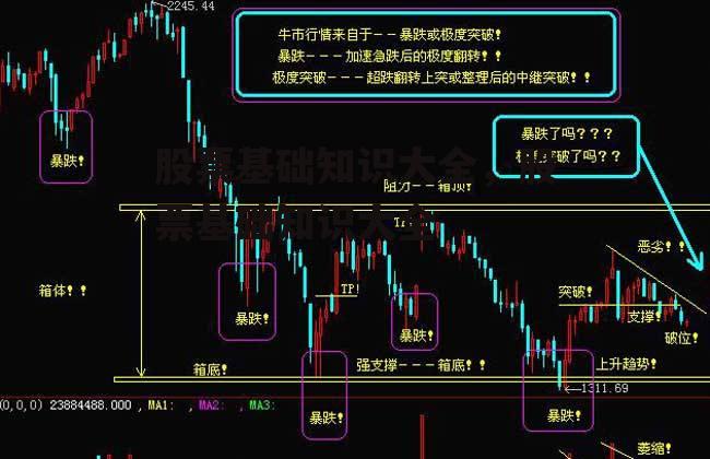 股票基础知识大全，股票基础知识大全