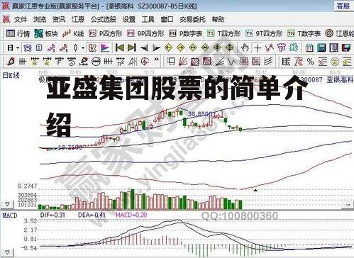 亚盛集团股票的简单介绍