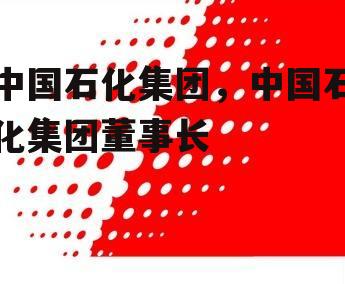 中国石化集团，中国石化集团董事长