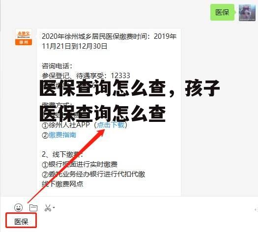 医保查询怎么查，孩子医保查询怎么查