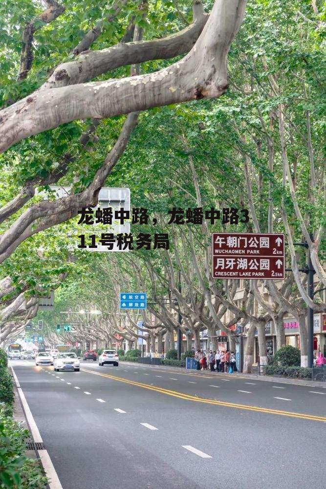 龙蟠中路，龙蟠中路311号税务局