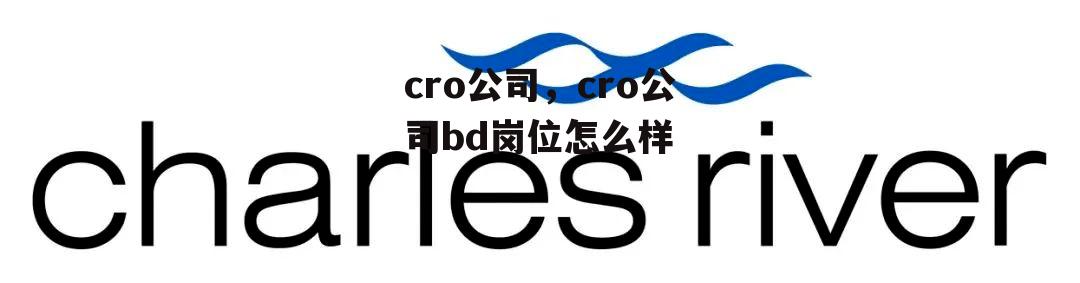 cro公司，cro公司bd岗位怎么样