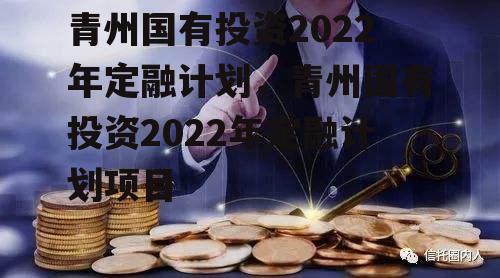 青州国有投资2022年定融计划，青州国有投资2022年定融计划项目