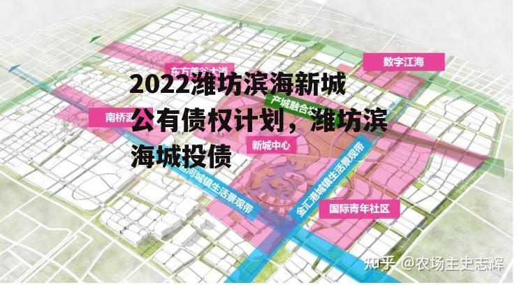 2022潍坊滨海新城公有债权计划，潍坊滨海城投债