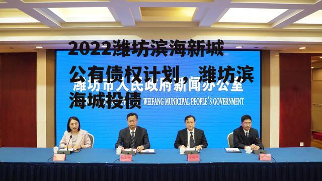 2022潍坊滨海新城公有债权计划，潍坊滨海城投债