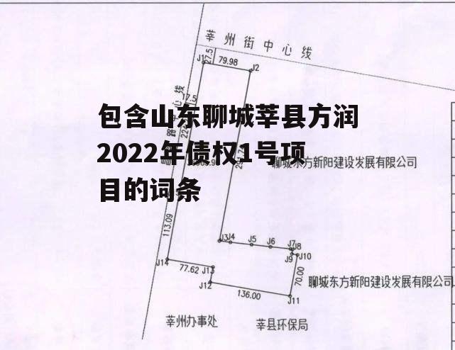 包含山东聊城莘县方润2022年债权1号项目的词条