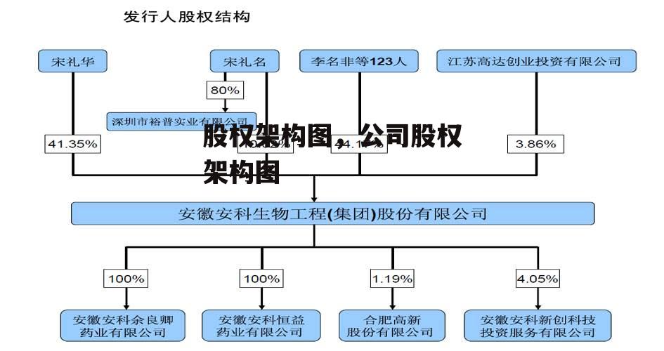 股权架构图，公司股权架构图